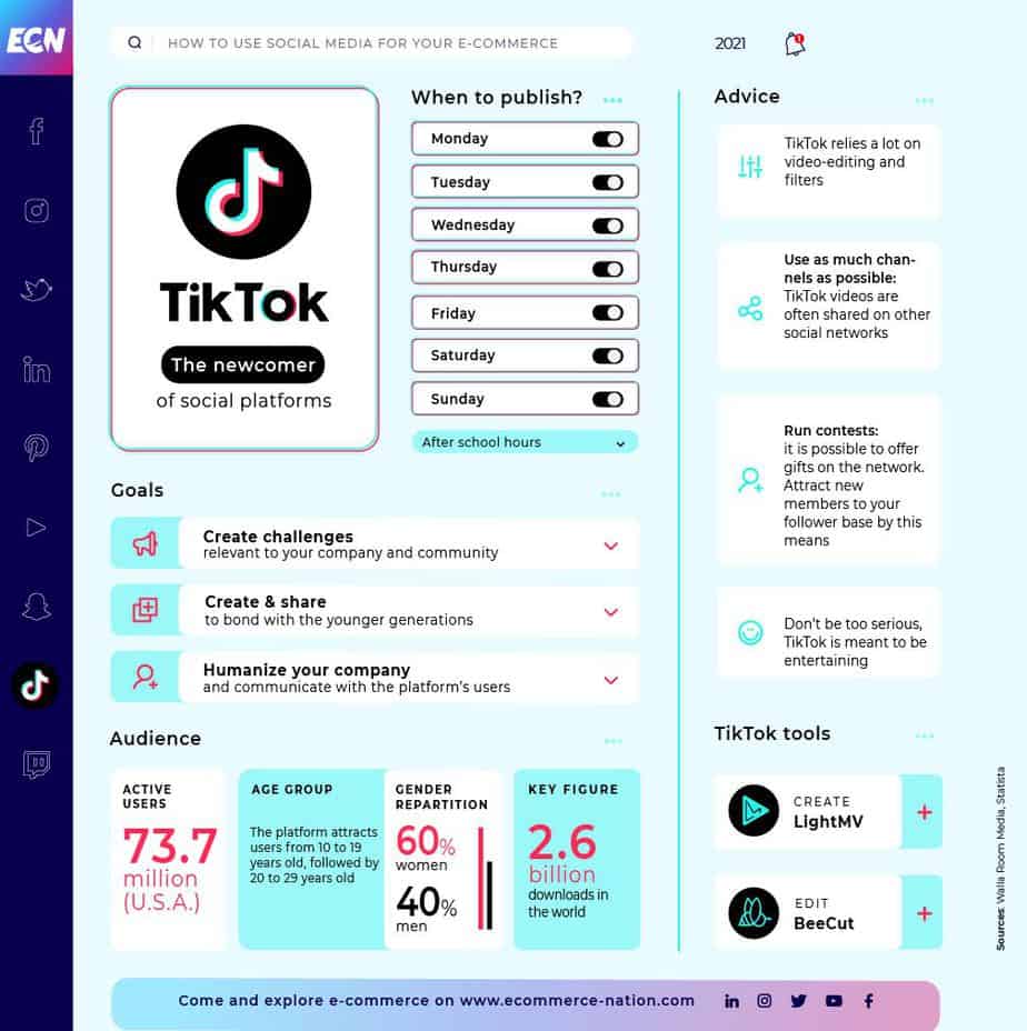 Tiktok insight guide 2021