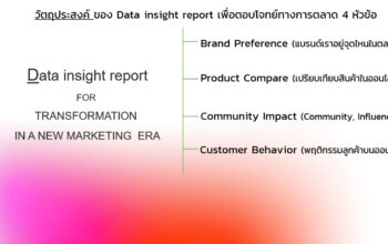 Data Report Insight