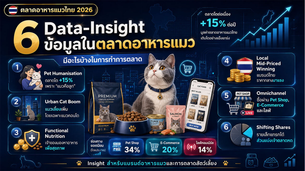 2026 เจาะตลาดอาหารแมวไทย เติบโต 15% สวนทางเศรษฐกิจ เหตุผลเดียวเพราะ ‘แมวคือลูก’